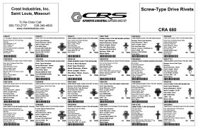 SCREW TYPE DRIVE RIVETS