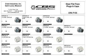 STEEL FLAT FACE PLUGS & CAPS