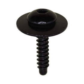 TORX PAN HEAD SEMS TAP SCREW W/DOGPT BLK