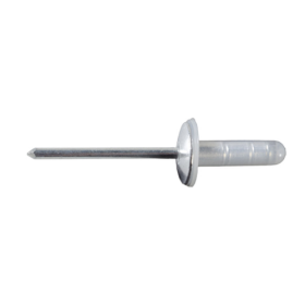 TOYOTA AND LEXUS RIVET WITH PLASTIC CAP
