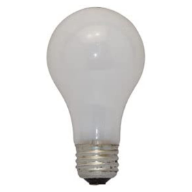 100 WATT ROUGH SERVICE BULB 2/PKG