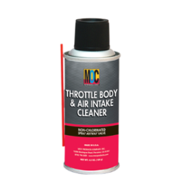 THROTTLE BODY AND AIR INTAKE CLEANER