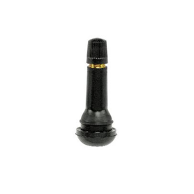 2 INCH TIRE VALVE     TR418