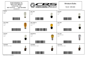 MINIATURE BULB ASSORTMENT