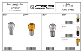 MINIATURE BULB ASSORTMENT