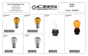 MINIATURE BULB ASSORTMENT