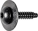 4.2X25MM TORX PAN SMS BLACK