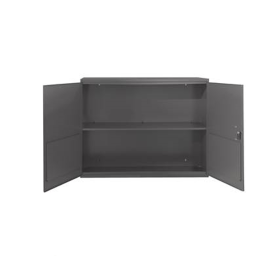 FIXED SHELF LOCKING WALL MOUNT CABINET